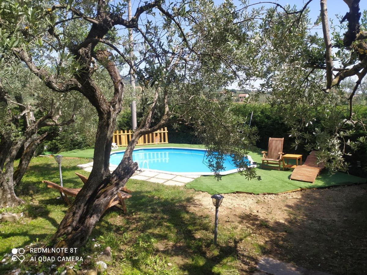 Apartmán Il Borgo Dei Pini Vinci Exteriér fotografie